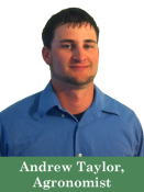 Andrew-Taylor-web