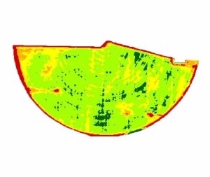 Variable Crop Health Imagery used for Growth Regulator Application