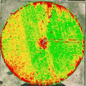 yield-web
