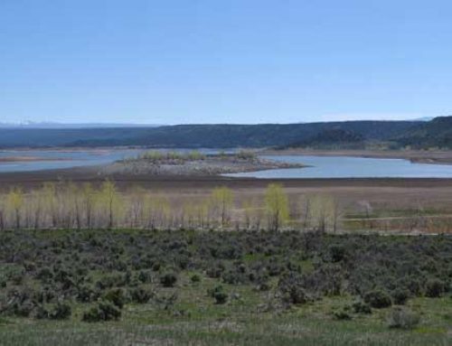 Water Issues In The Southwest