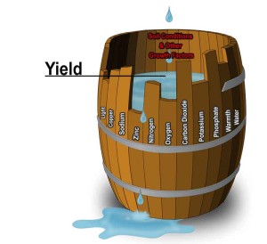 yieldbarrel3-web