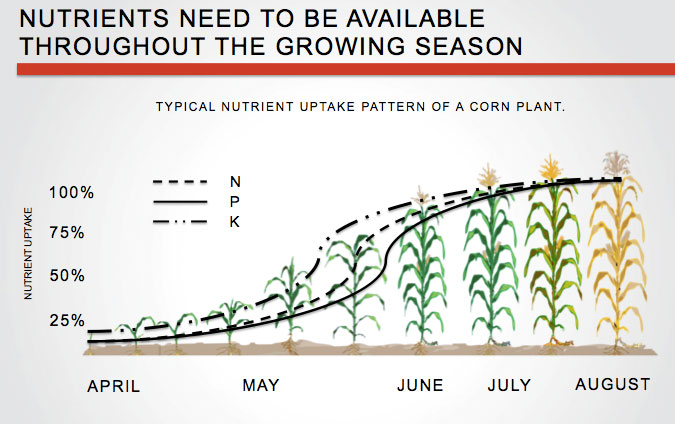 Corn Nitrogen Use Chart