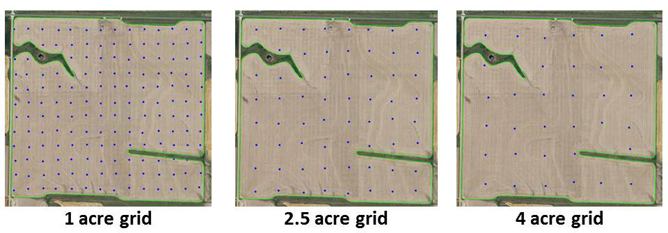 Grid Sampling Sizes