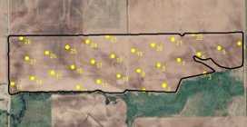 Grid Sampling Points