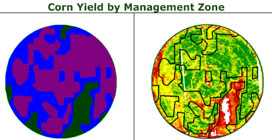 Management Zone Yield Analysis