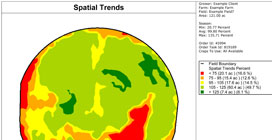 Yield Analysis Spatial Trends