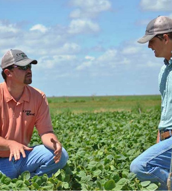 Crop Consultant and Intern 546X657 Digital Farm Consulting Advisor with a Farmer