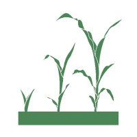 Digital Farm Consulting Evolution Service Icon Digital Farm Consulting Foundation Service Icon