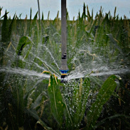 Water Scheduling Service Pivot Nozzle Digital Farm Consulting Foundation Service Icon