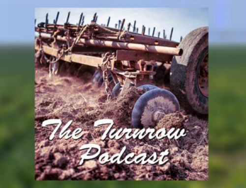 The Turnrow Podcast – Episode 31: Harvest Update