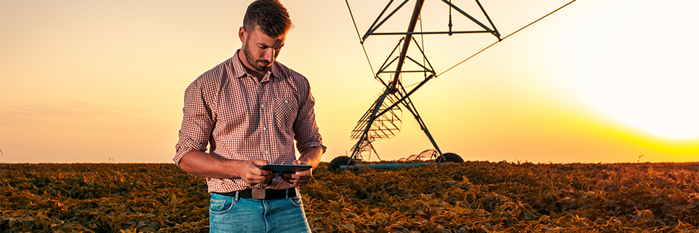 Remote Farm Consulting on Pivot Irrigation