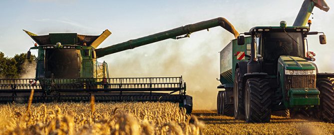 double crop after wheat harvest