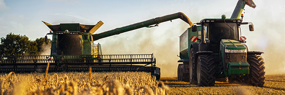 double crop after wheat harvest