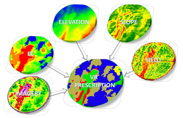 Precision Ag Layers in Management Zones