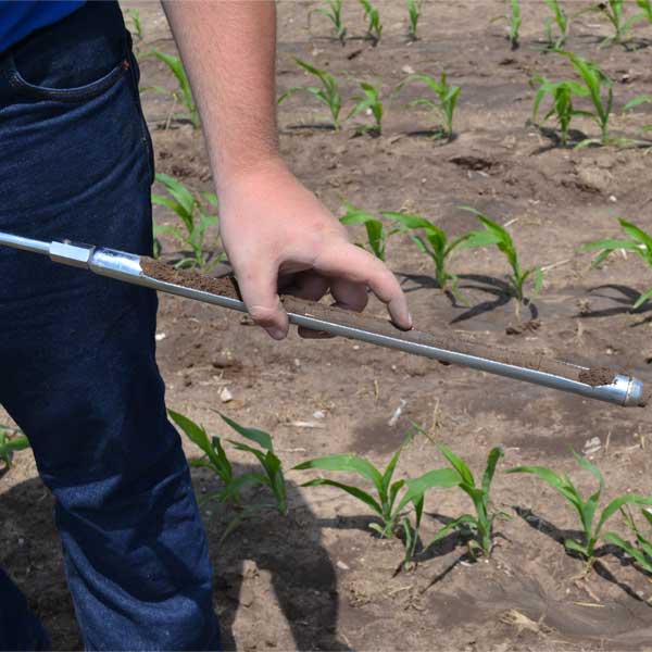 Soil Sampling Consultant with a Soil Probe