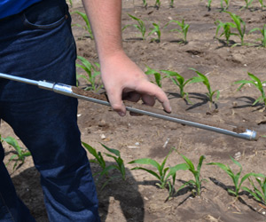 Crop Consultant Composite Soil Sampling with Probe