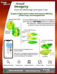 Crop Health Satellite Imagery Flyer