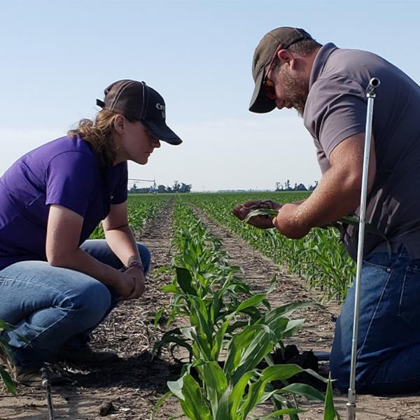 Farm Record Keeping Crop Scouting Data Collection