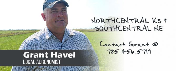 Grant Havel