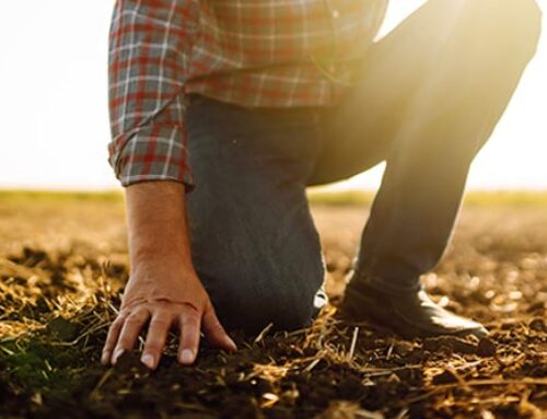 Tax Deductions Available for Residual Fertility on Purchased Land