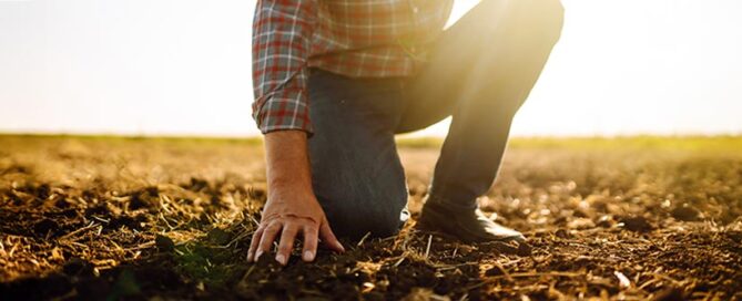 Farmer kneeling in a field, touching the soil.