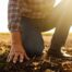 Farmer kneeling in a field, touching the soil.