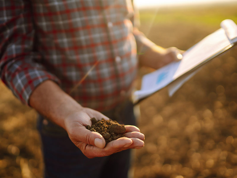 Evaluating Excess Fertility with Field and Data Insights Person holding a handful of soil with a clipboard and data in the background.