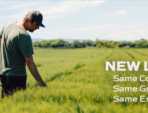 New Look, Same Great Service