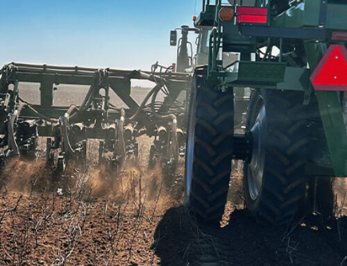 Planting Precisely: One Shot is All You Got!