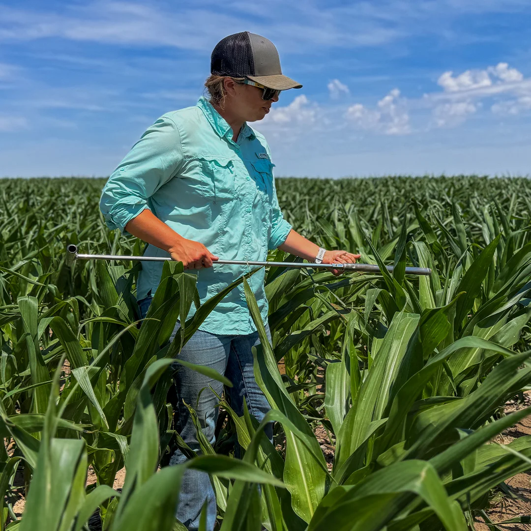 agronomist checking soil moisture in field
