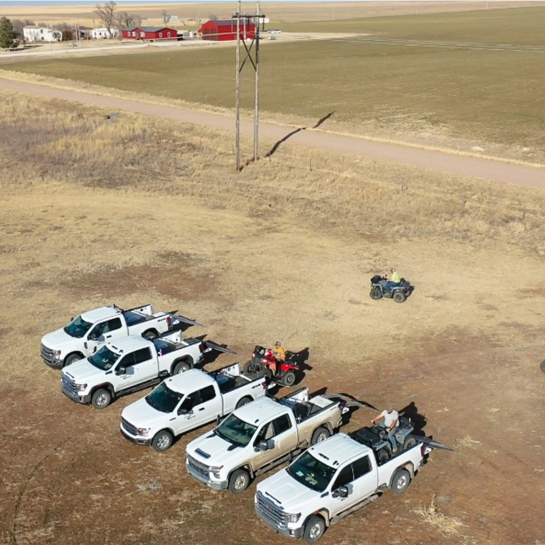 Aerial view of crop quest pickups lined up on edge of field