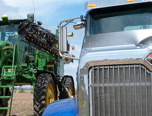 Late Season Perennial Weed Control