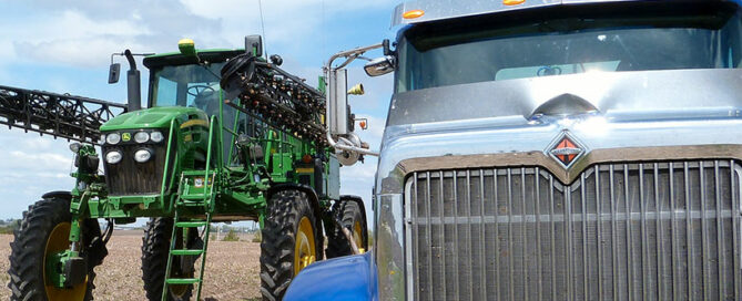 late season perennial weed control